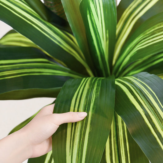 Artificial Dracaena Tree 6FT with 3 Thick Trunks, Faux Yucca Floor Plant