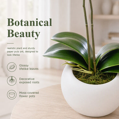 Artificial Flowers Indoor, White Fake Orchid in Pot
